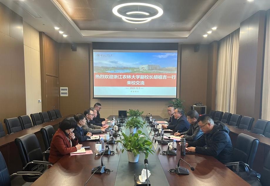 美女的隐藏部位是什么图片