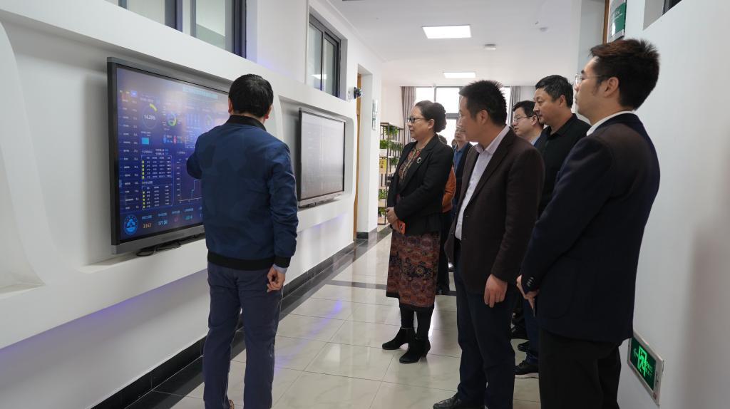 美女的隐藏部位是什么图片