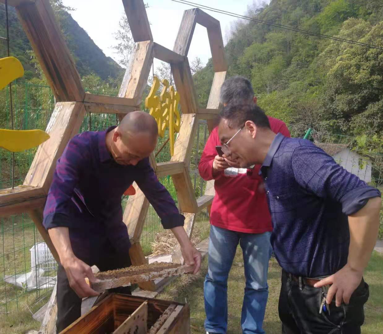 美女的隐藏部位是什么图片