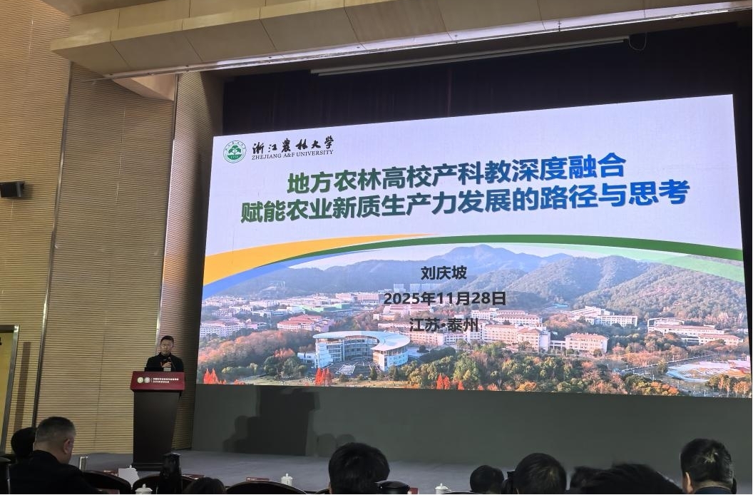 美女的隐藏部位是什么图片