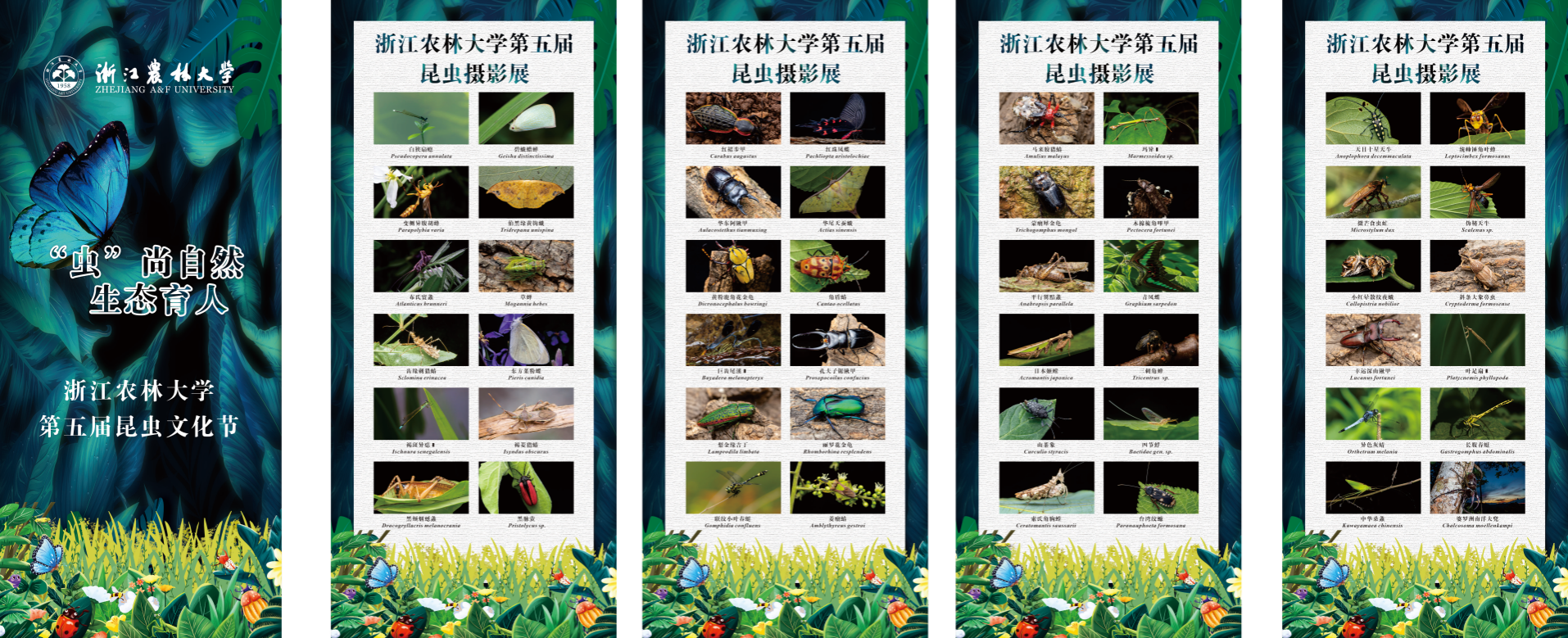 美女的隐藏部位是什么图片