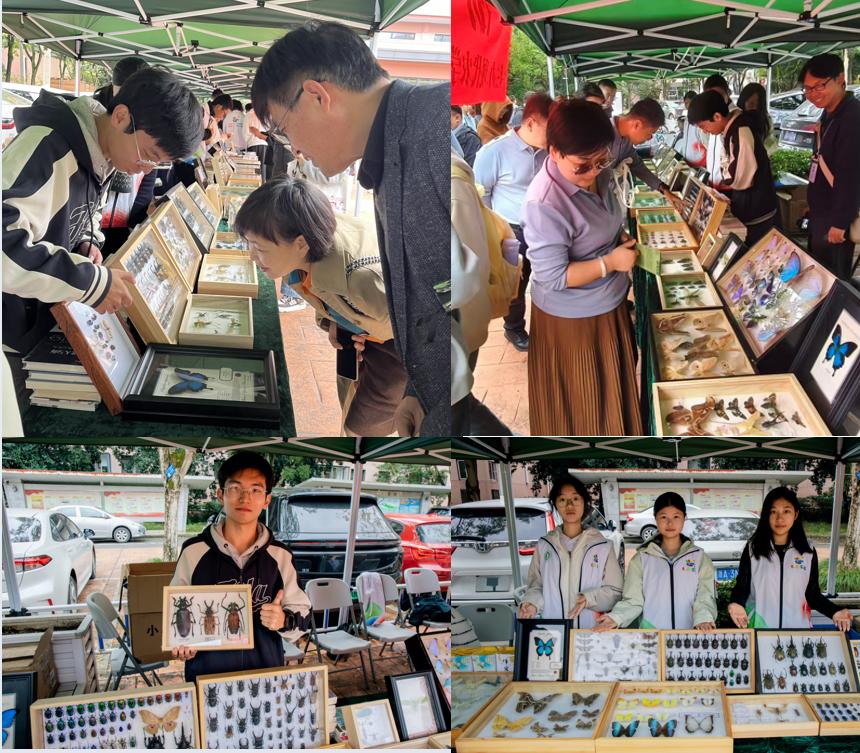 美女的隐藏部位是什么图片