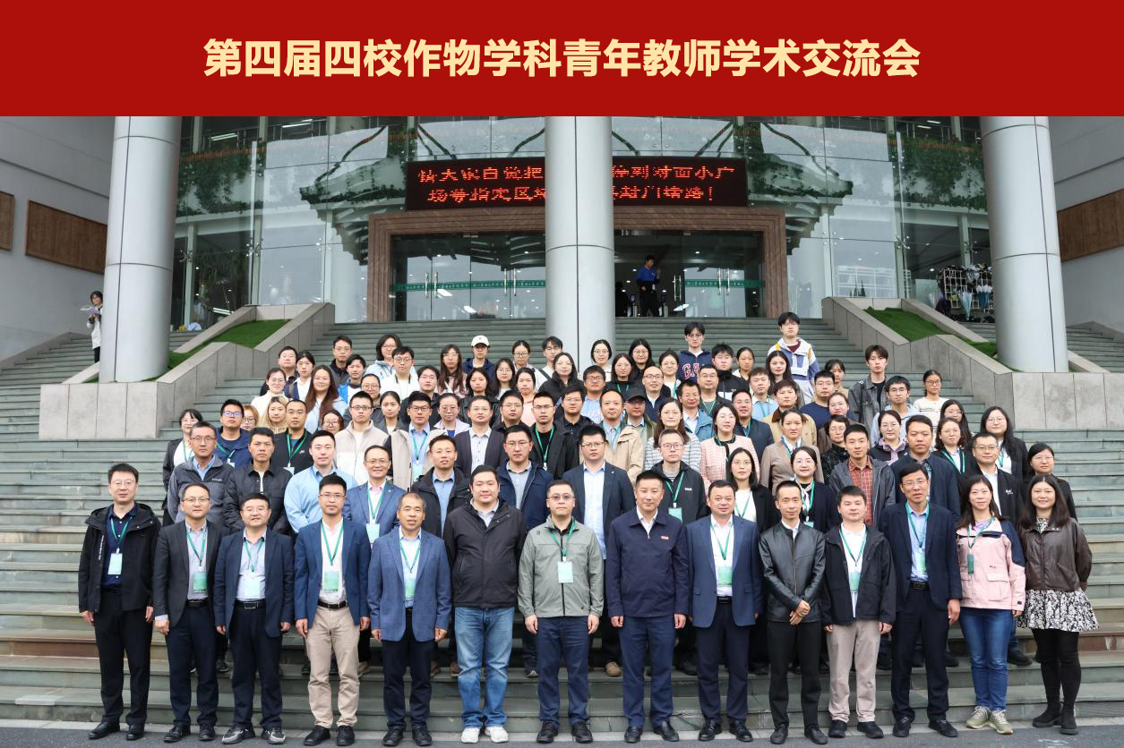 美女的隐藏部位是什么图片