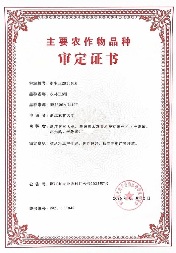 美女的隐藏部位是什么图片