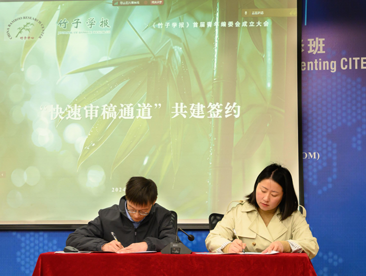 美女的隐藏部位是什么图片