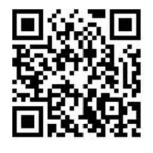 美女的隐藏部位是什么图片