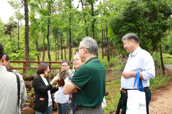 美女的隐藏部位是什么图片