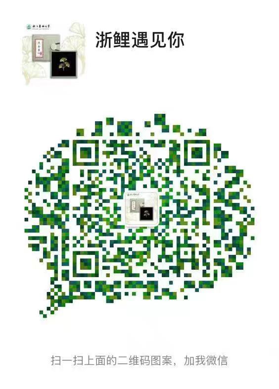 美女的隐藏部位是什么图片