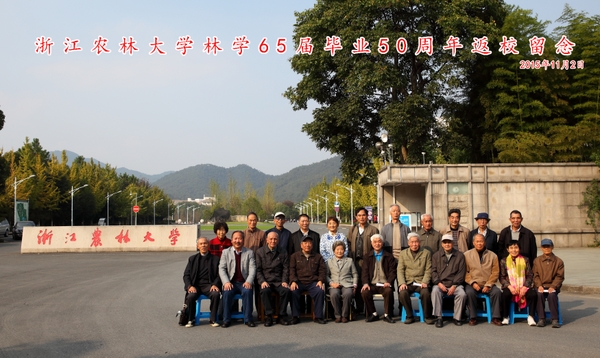 美女的隐藏部位是什么图片