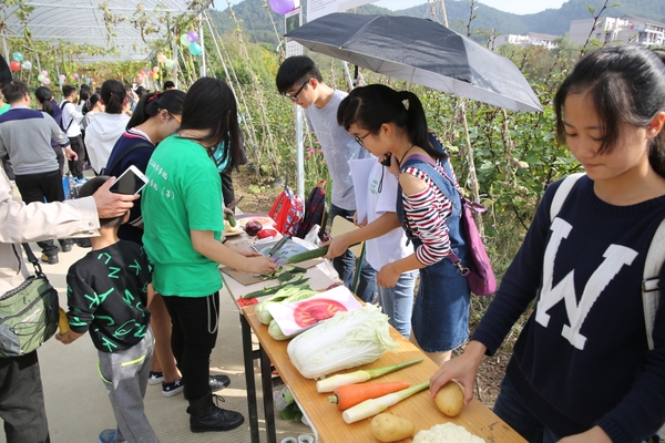 美女的隐藏部位是什么图片