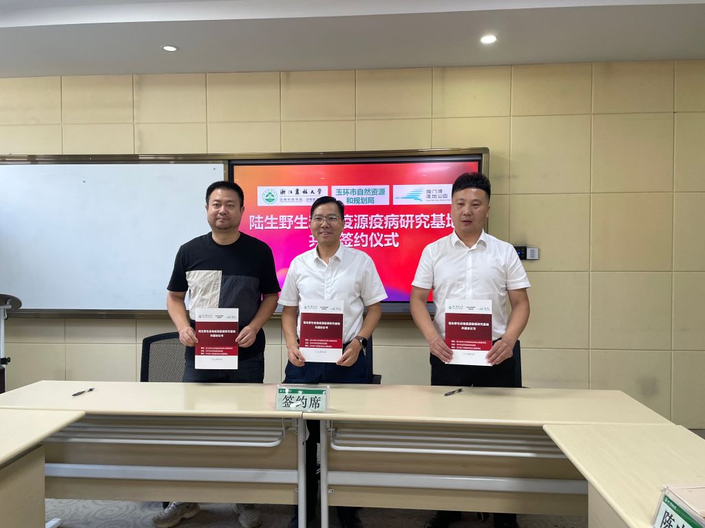 美女的隐藏部位是什么图片