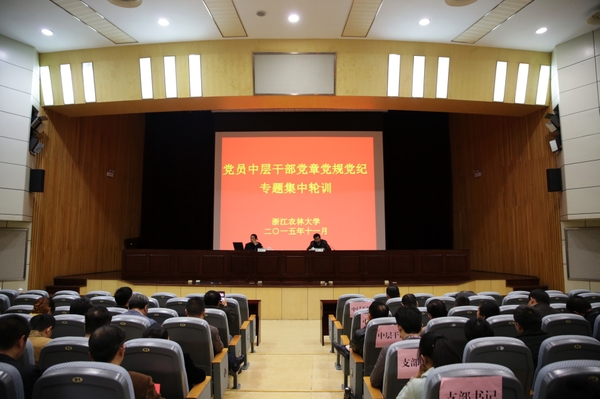 美女的隐藏部位是什么图片