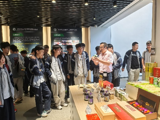 美女的隐藏部位是什么图片