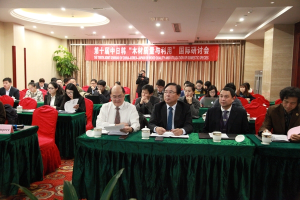 美女的隐藏部位是什么图片